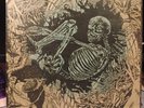 Ceschi / Pat The Bunny* – Split 1st Pressing