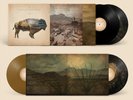 Heartless Bastards Arrow (Vinyl) (UK IMPORT)