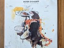 VINYL RECORD / PETER DOHERTY (THE LIBERTINES) - GRACE/WASTELANDS - ORIGINAL LP