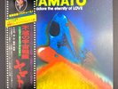 Yamato I Adore the Eternity of Love Soundtrack JAPAN Anime vinyl record LP NM M-