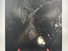 Cocteau Twins - The Pink Opaque 1986 US Relativity/4AD Pressing