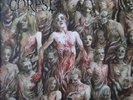 Cannibal Corpse - The Bleeding (Record)