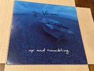 Gin Blossoms - Up And Crumbling - 1991 Vinyl