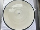 White Test Pressing The Beatles Picture Disc Ticket To Ride Vinyl Record 7”