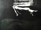 very RARE JAZZ LP Bill Evans & Jim Hall = ビル・エヴァンス* と ジム・ホール*