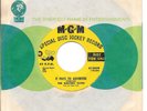 THE ELECTRIC ELVES It Pays To Advertise Ronnie James Dio psych PROMO 45 HEAR