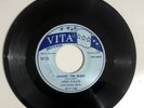 Rare Doo Wop 45 - THE ARIST-O-KATS - Chasing The Blues / I Dont See - VITA VG+