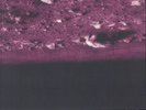 CAVE IN - Jupiter (25th Anniversary Edition) - Vinyl (LP)