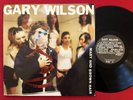 GARY WILSON MARY HAD BROWN HAIR LP (2004) RARE EXPERIMENTAL FUNK LOFI ROCK