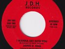 JAMES D HALL I Wanna Get Into You RARE  *orig* 45 modern soul funk disco HEAR