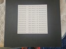 Butterfly Lp Vincent Gallo Harper Simon The Music Of Butterfly