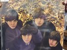 Beatles for Sale [Mono Vinyl] by The Beatles (Vinyl, Sep-2014, Capitol)