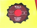DOO WOP ORCHIDS  SOFT SHADOWS  VG+  GOOD GULLY   WALL RECORDS