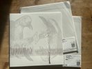 PANOPTICON The Rime of Memory TEST PRESSING