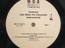 Common - Like Water For Chocolate - OG 2000 LP - Rare Hip Hop Instrumental