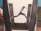 Mos Def The Ecstatic Vinyl Double LP 2009 - Downtown Label DWT70055-1