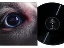 PINK FLOYD - Roger Waters - Dark Side Of The Moon Redux 2LPs 180 Gram Vinyl EX