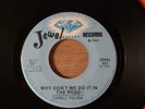 Lowell Fulsom Why Don't We Do It In The Road/Too Soon R&B, Blues  Beatles Cover