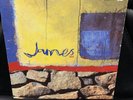 JAMES LAID 1993 7”  VINYL  . Vinyl Ex, Cover Good . See All pics. Split Cover