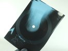 ELVIS BLUE SUEDE SHOES X-Ray USSR Record Roentgen Bones Ribs Music Vinyl