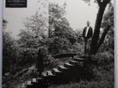 Timber Timbre - Timber Timbre - Vinyl - Very Good Plus (VG+)