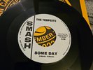 THE TEMPESTS - SOME DAY - SMASH / PRESSING TAKEN FROM THE LP