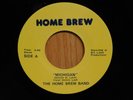 The Home Brew Band Folk Rock Psych 45 Michigan bw I Could Sit on Home Brew