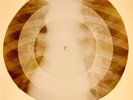 X-RAY USSR ROENTGEN BONES RECORD ORIGINAL OLD RIBS 789