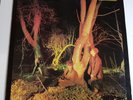 Echo & The Bunnymen - Crocodiles - Vinyl LP UK 1st Press 1980 EX/EX