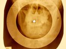2pcs X-RAY ROENTGEN USSR BONES RECORD 758, 841