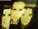 The Wild Swans - Bringing Home The Ashes (LP, Album) (Very Good Plus (VG+))