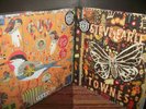 Lot: 2 STEVE EARLE 2-LPs - Guy / Townes - New SEALED colored vinyl
