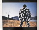 Pink Floyd – Delicate Sound Of Thunder Vinyl 1988 Promo 2xLP - Columbia   EX