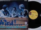 BRIAN AUGER & TRINITY Definitely What  ATCO LP NM gatefold e