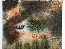 PINK FLOYD - A Saucerful Of Secrets UK 1968 Orig. Blue Stereo