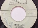 RARE SURF 45 The Gamblers Moon Dawg