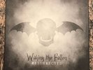 AVENGED SEVENFOLD Waking the Fallen Resurrected LP box set