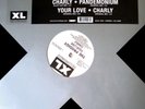 The Prodigy - Charly (12