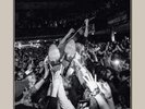 Caamp - Live From Newport Music Hall (Indie Exclusive, Coke Bottle Clear Vinyl)