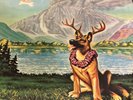 Little Feat Hoy-Hoy Vinyl