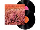 Jaguares – El Primer Instinto [2 LP] (Vinyl)