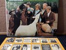 The Beach Boys - “Pet Sounds' 1966  Scranton press Duophonic Stereo Lp /DT 2458