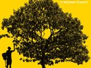 Jack Johnson - In Between Dreams - LP