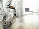 Recoil Liquid - LP 33T x 2