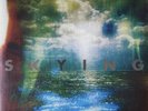 The Horrors - Skying (LP) (VG-EX/VG-EX)