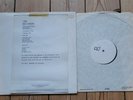 The Psychedelic Furs Forever Now LP White Label Test Pres promo Post punk