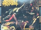 ARGHOSLENT HORNETS LP GOLD 2019 DRAKKAR NEW UNPLAYED GBK
