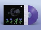 BONNIE PRINCE BILLY - The Purple Bird - Vinyl (LP)
