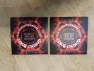 MANTRA OF THE COSMOS LIMITED DOMINO BONES BLUE RED VINYL OASIS NOEL GALLAGHER