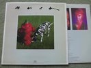 RUSH – SIGNALS LP – Nr MINT 1982 ORIG US